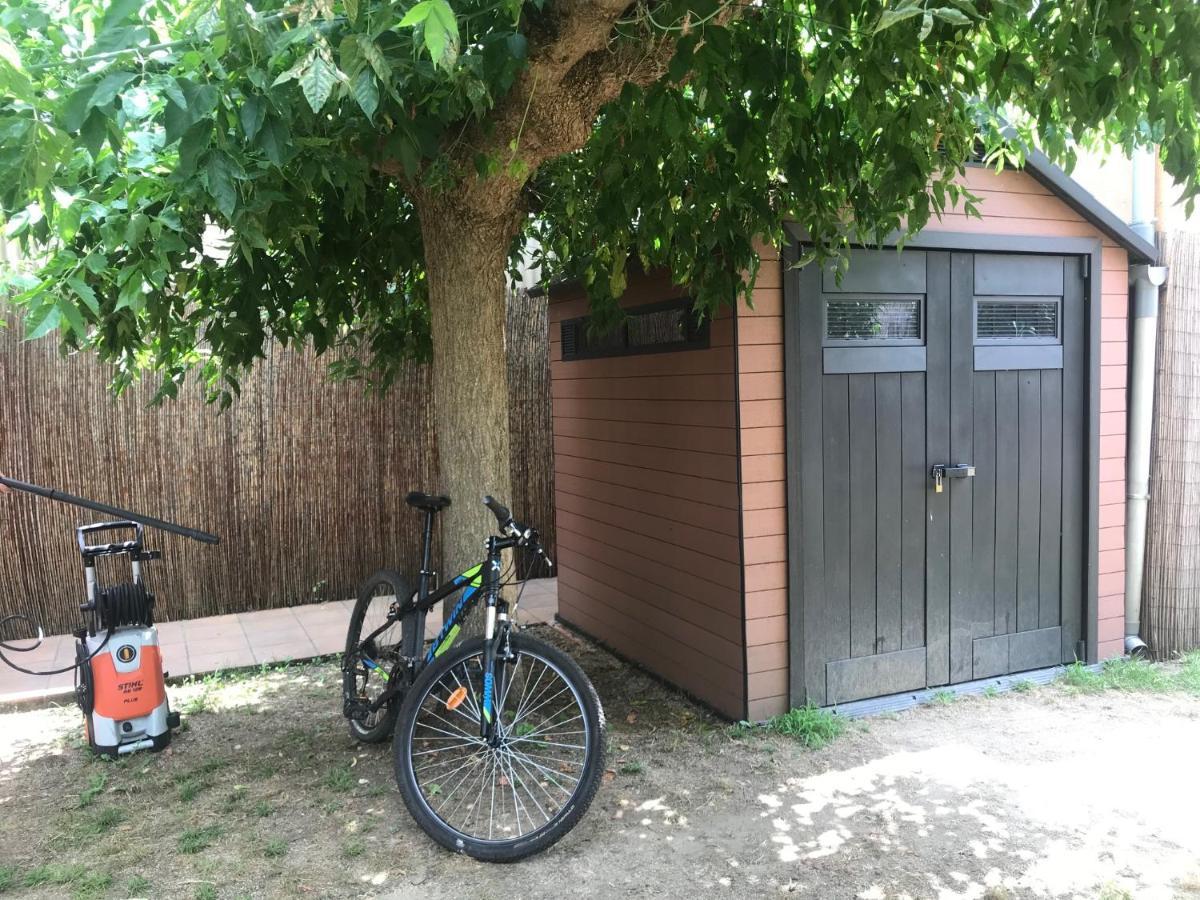 Apartamento "El Lila" - Parking Incluido Olot Ngoại thất bức ảnh